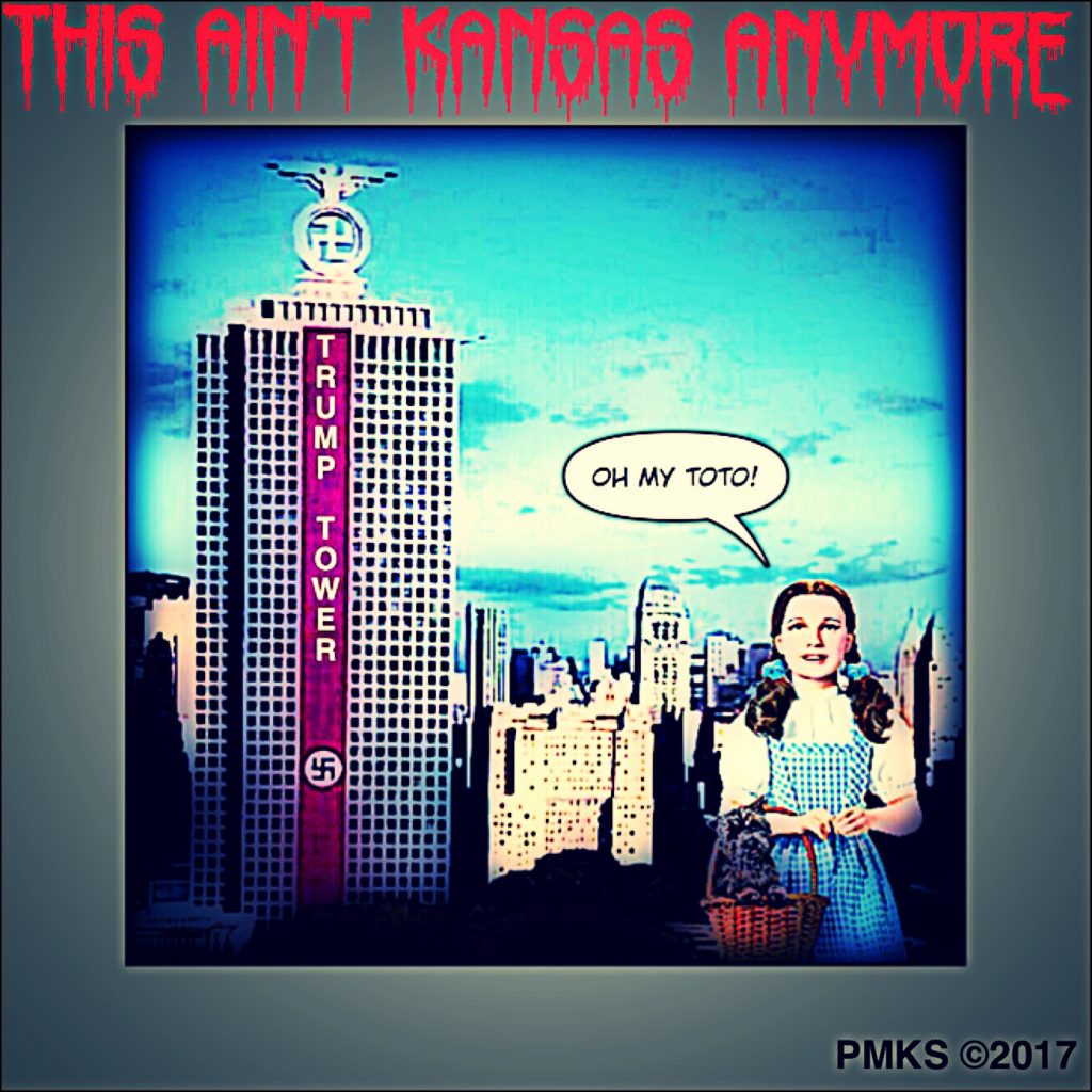 Psycho Melodic Kill Switch, This Ain't Kansas Anymore, Music Reviews, Independent Music Blog, Independent Music Promotion, Protest Music, Anti-Trump.