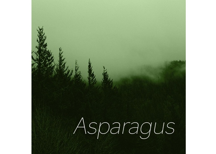 Eterza, Asparagus, Review, Music Review, Single Review, Indie Blog, Independent Music Blog, Unsigned, Music Promotion, Music Submissions,