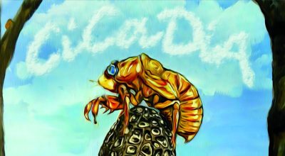 John Clark, Cicadia, Music Review, Single Review, Indie Music Blog, Independent Music Blog, Unsigned Artists, Producers, Music Promotion, Submit Music For Review, Present Paradox, Submit Your Music, Rock Reviews, Singer Songwriter, Hip Hop Blog, Independent Hip Hop, Unsigned Artists,