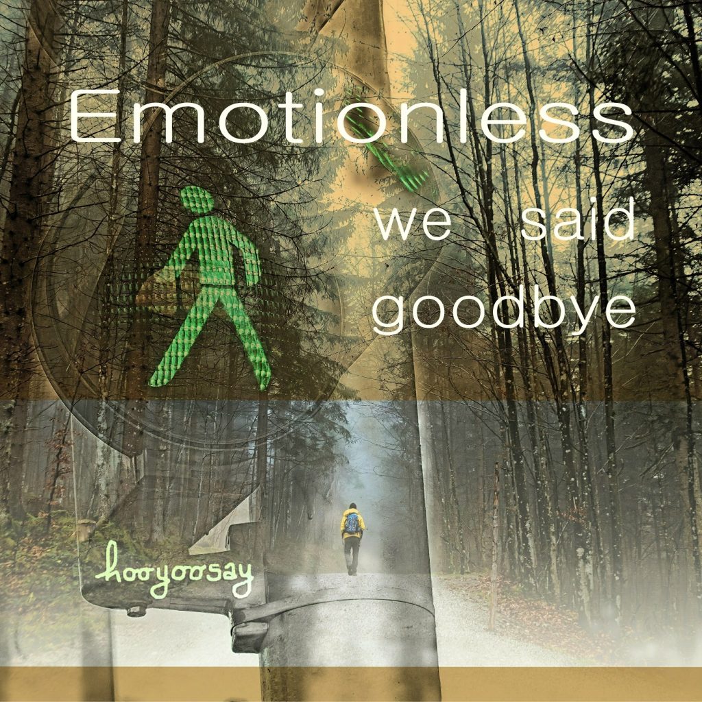 Hooyoosay, Emotionless We Said Goodbye, Single Review, Indie Music Blog, Independent Music Blog, Unsigned Artists, Producers, Music Promotion, Submit Music For Review, Submit Your Music,