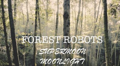 Forest Robots "Super Moon Moonlight Part One", Nature and Music, For My Daughter, Music For Review, Present Paradox, Submit Your Music, Rock Reviews, Singer Songwriter, Hip Hop Blog, Independent Hip Hop, Unsigned Artists, Professional Music Reviews, Indie Representation, Music Reviews, Guaranteed Music Reviews, UK Music Scene, Get Discovered, Get Heard, Blog Features, Interview, Exclusive, Folk Rock Blog, Indie Rock, Interview