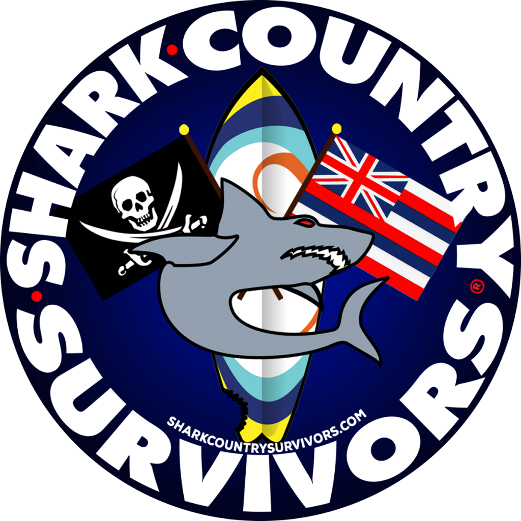 Shark Country Survivors, Liberty, Album Review, Free Album Download, Lo-fi Indie Pop, Blog Features, Interview, Exclusive, Folk Rock Blog, Indie Rock, Interview, Guitarist,