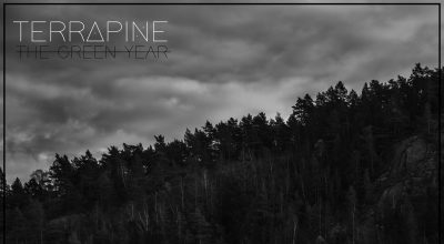 Terrapine, The Green Year, Album Review, Psychaedelic Pop, Unsigned Artists, Professional Music Reviews, Indie Representation, Music Reviews, Guaranteed Music Reviews, UK Music Scene, Get Discovered, Get Heard, Blog Features, Interview, Exclusive, Folk Rock Blog, Indie Rock, Interview, Swedish Music,