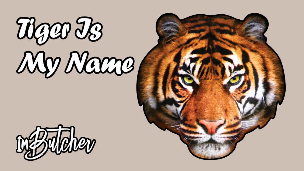 imbutcher-tiger-is-my-name-stereo-stickman