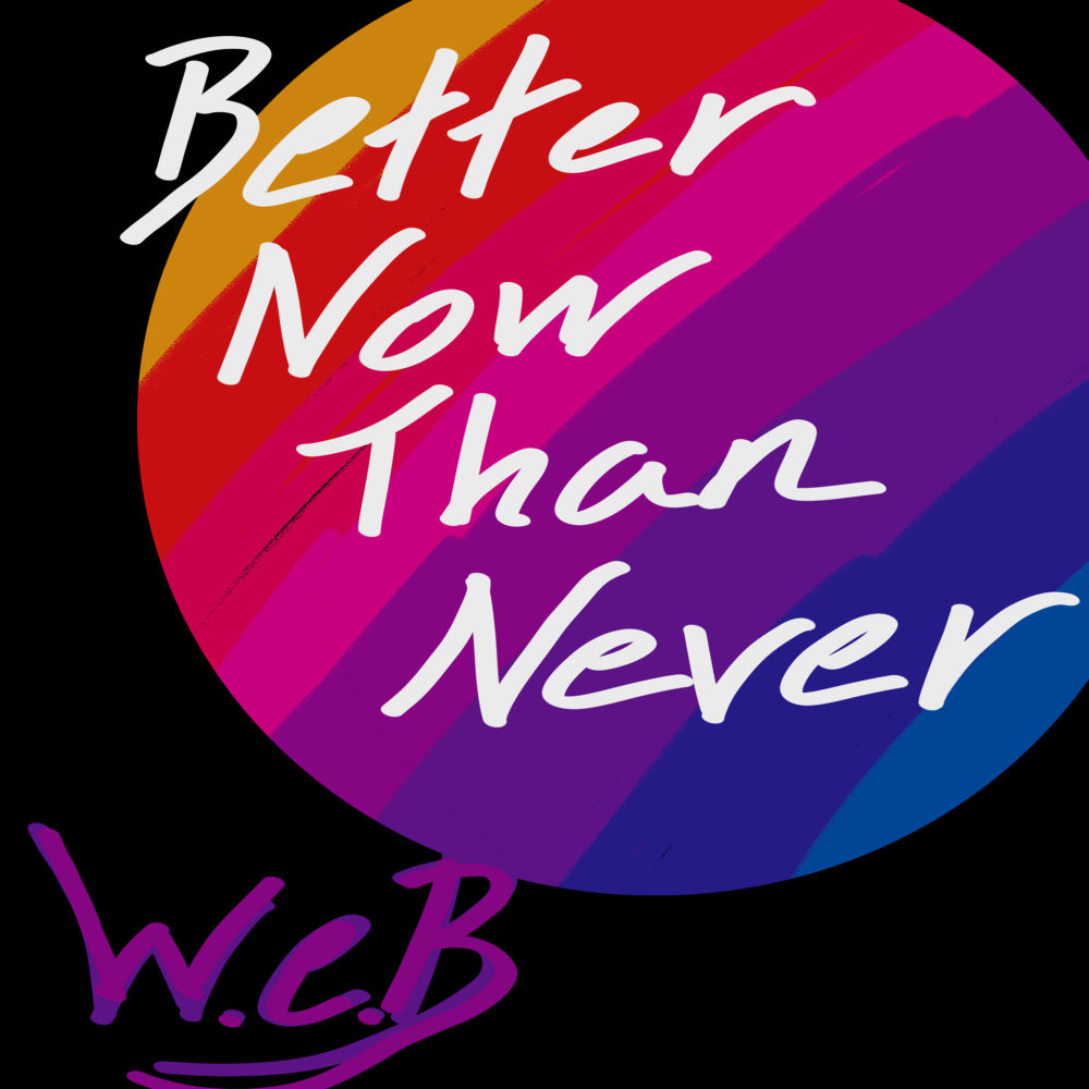 W.E.B Better Now Than Never Stereo Stickman